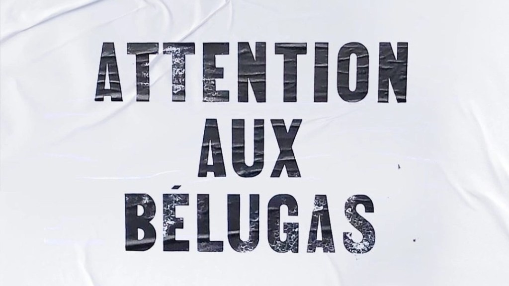 Pomme dénonce l&rsquo;extinction des bélugas avec &laquo;&nbsp;A perte de vue&nbsp;&raquo;